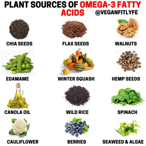 best vegan omega 3|best vegan omega 3 sources.